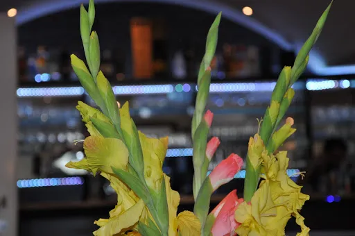 Estare Restaurant - Cafe - Bar